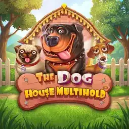 The Dog House Multihold sur Holyluck Casino pour les joueurs en France